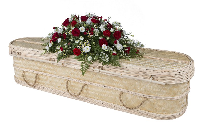 Bamboo curved coffin