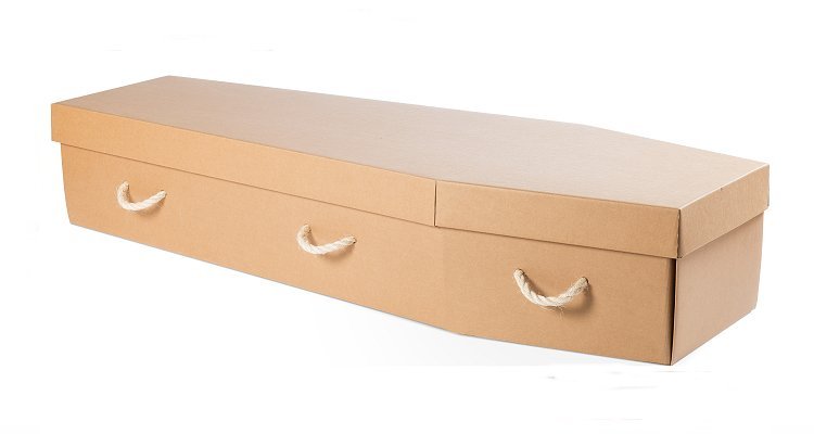 Cardboard coffin