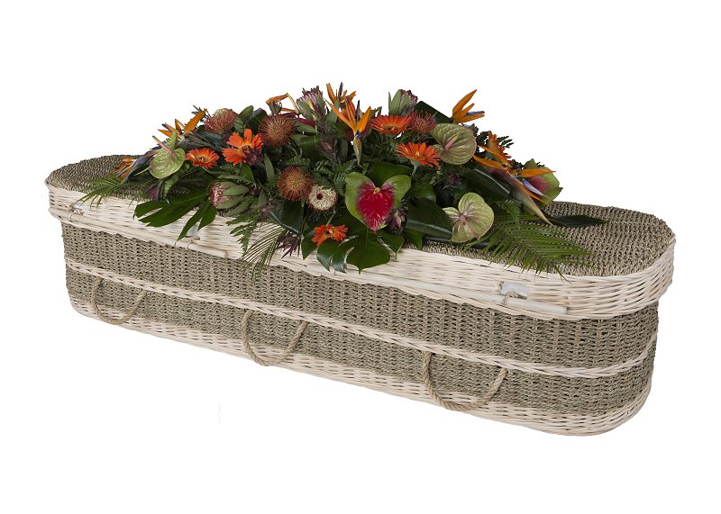 Seagrass curved coffin