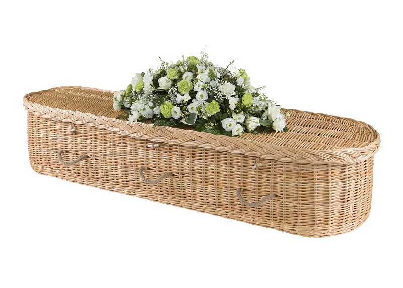 Willow curved coffin